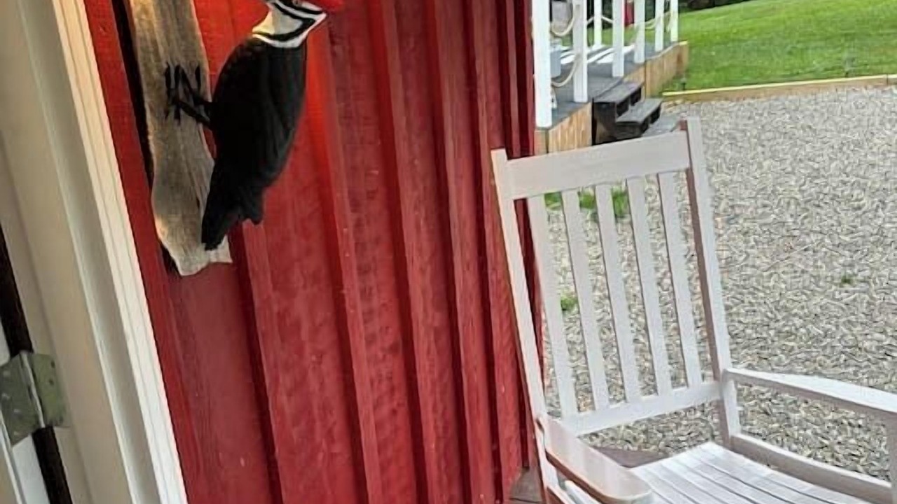 Photo of Others in Valley Road