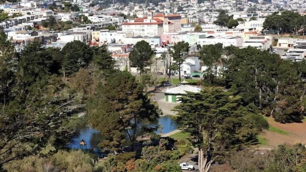 Photo of Outdoor in Little Hollywood