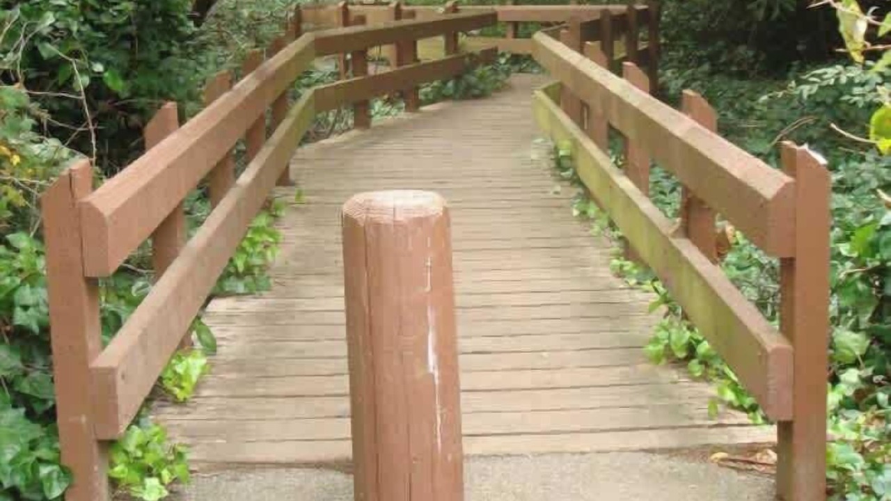 Photo of Outdoor in Little Hollywood