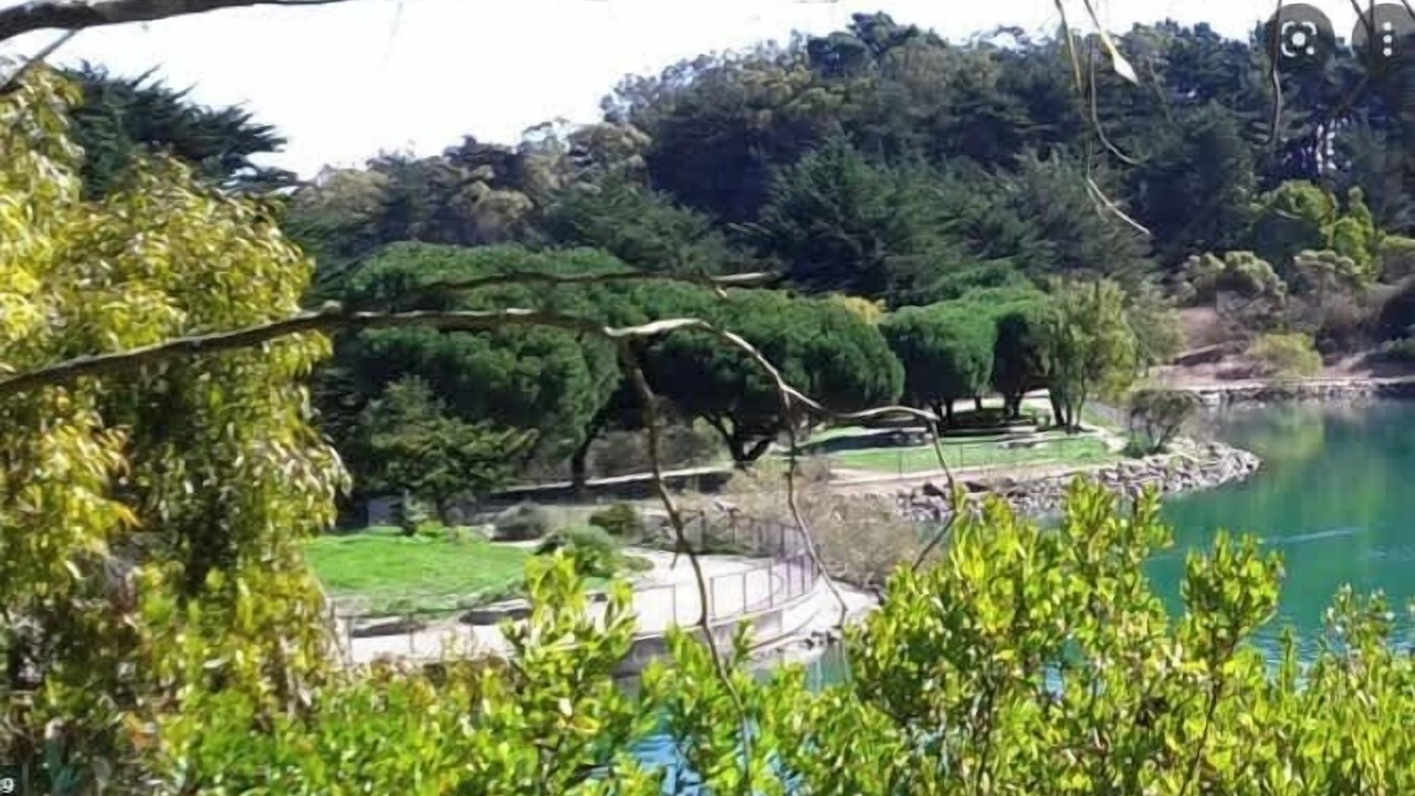 Photo of Others in Little Hollywood