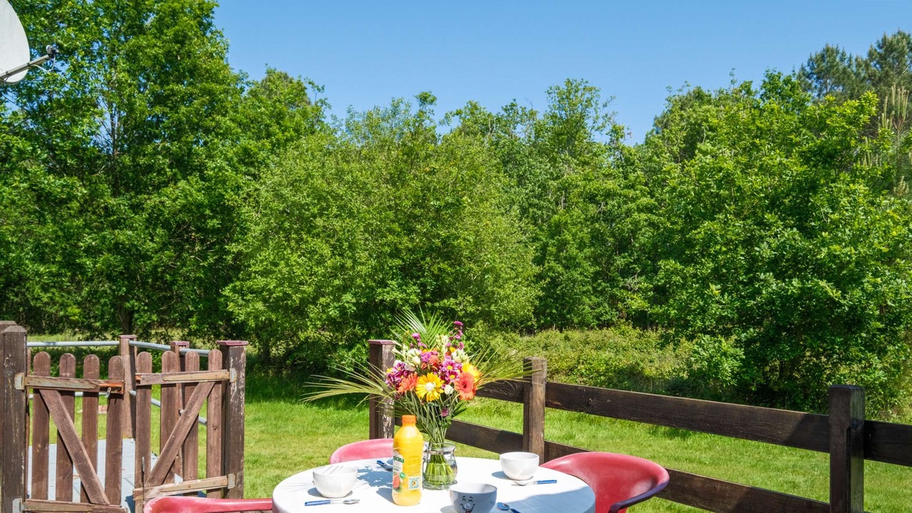 Photo of Outdoor in Sanguinet