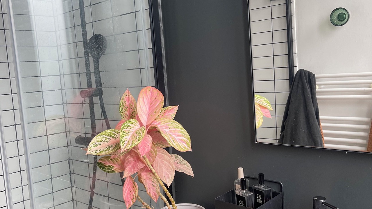 Photo of Bathroom in Saint Michel