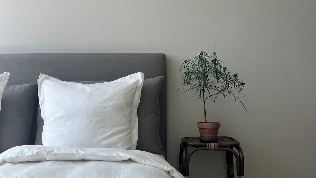 Photo of Bedroom in Holte