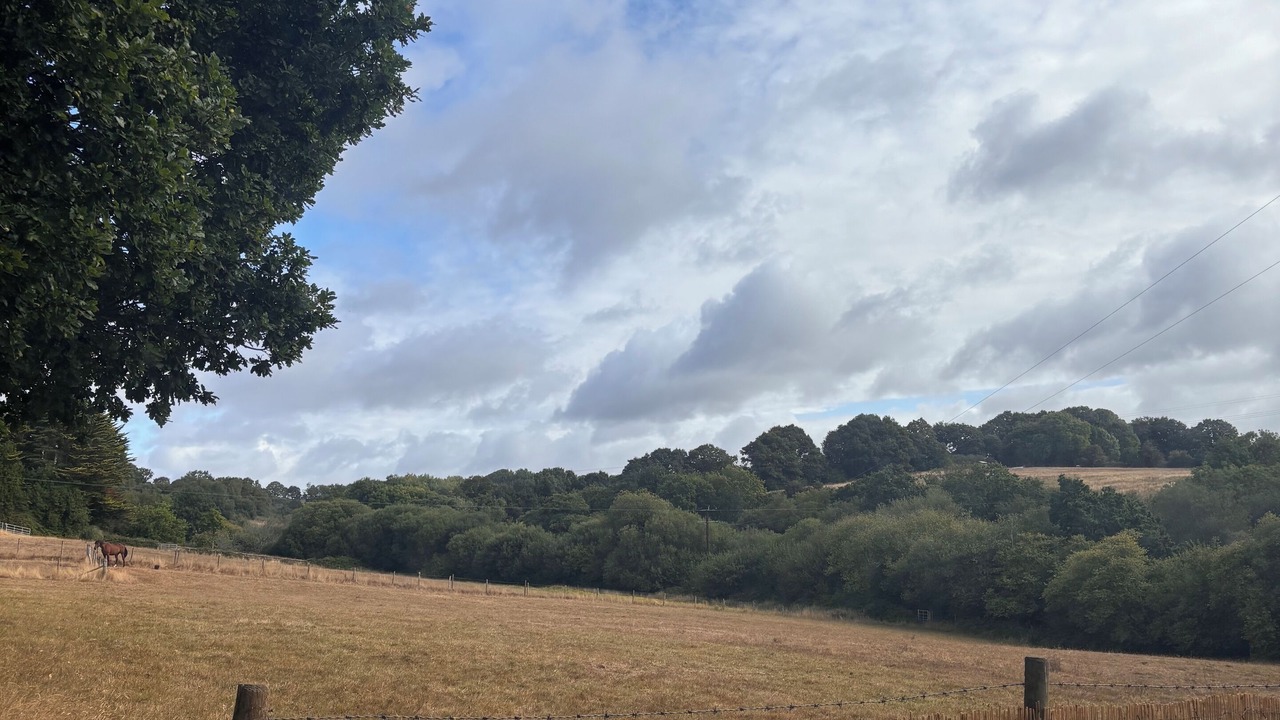 Photo of Others in Lytchett Matravers