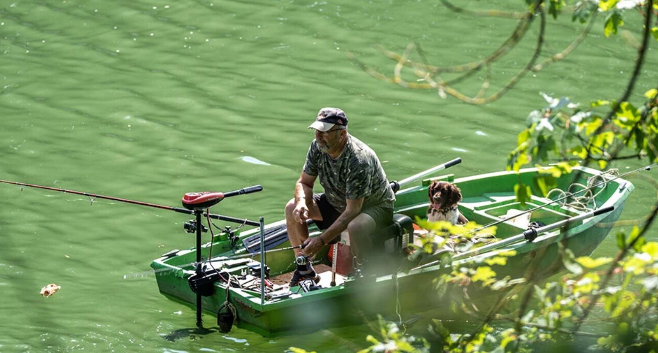 Photo of Others in Joigny-sur-Meuse