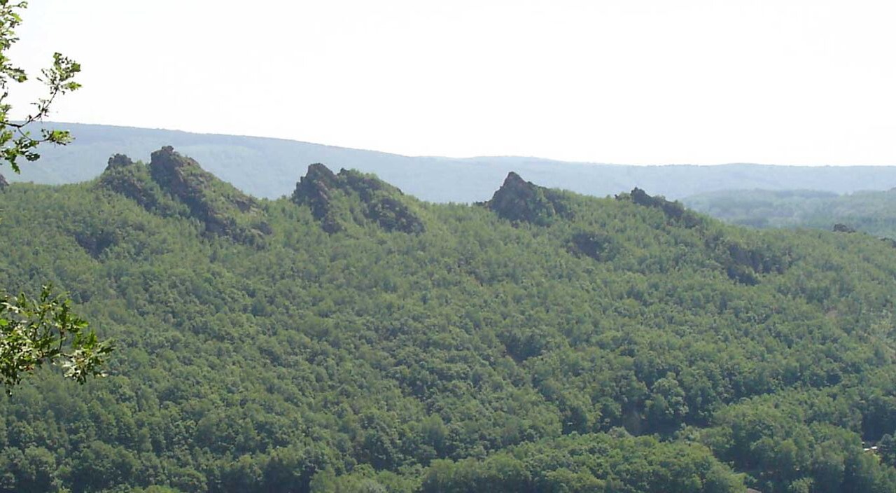 Photo of Others in Joigny-sur-Meuse