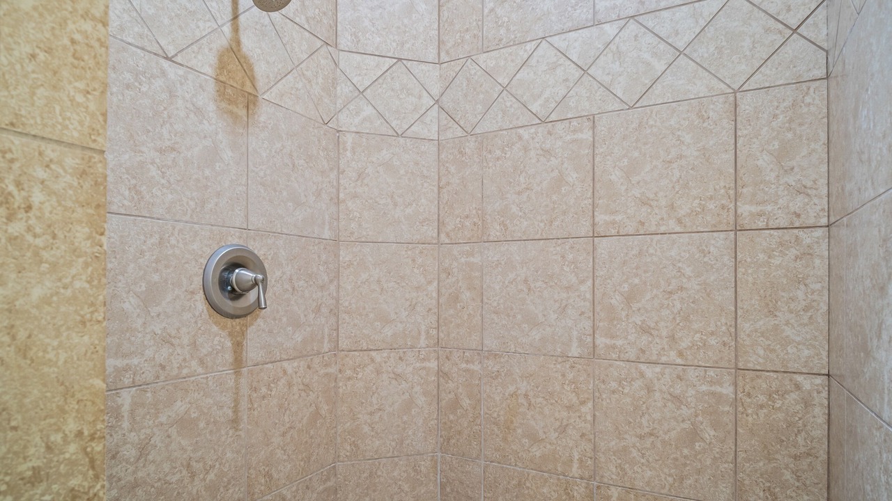 Photo of Others in Safe Harbor