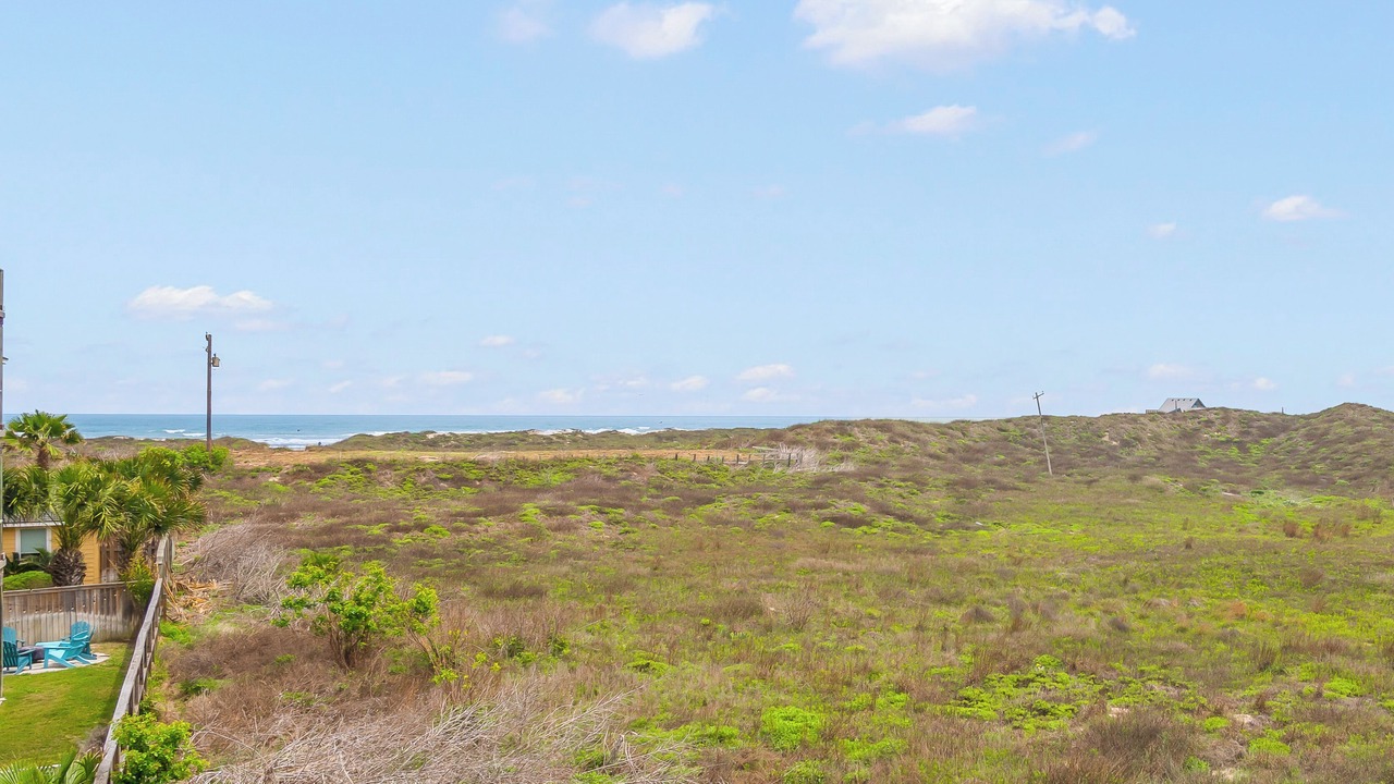 Photo of Others in Safe Harbor