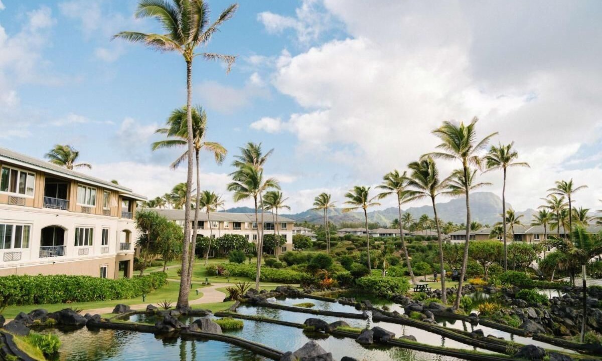 Photo of Outdoor in Poipu