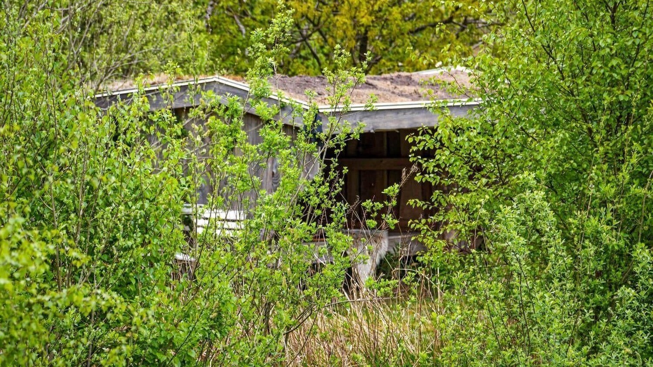 Photo of Outdoor in Tarm