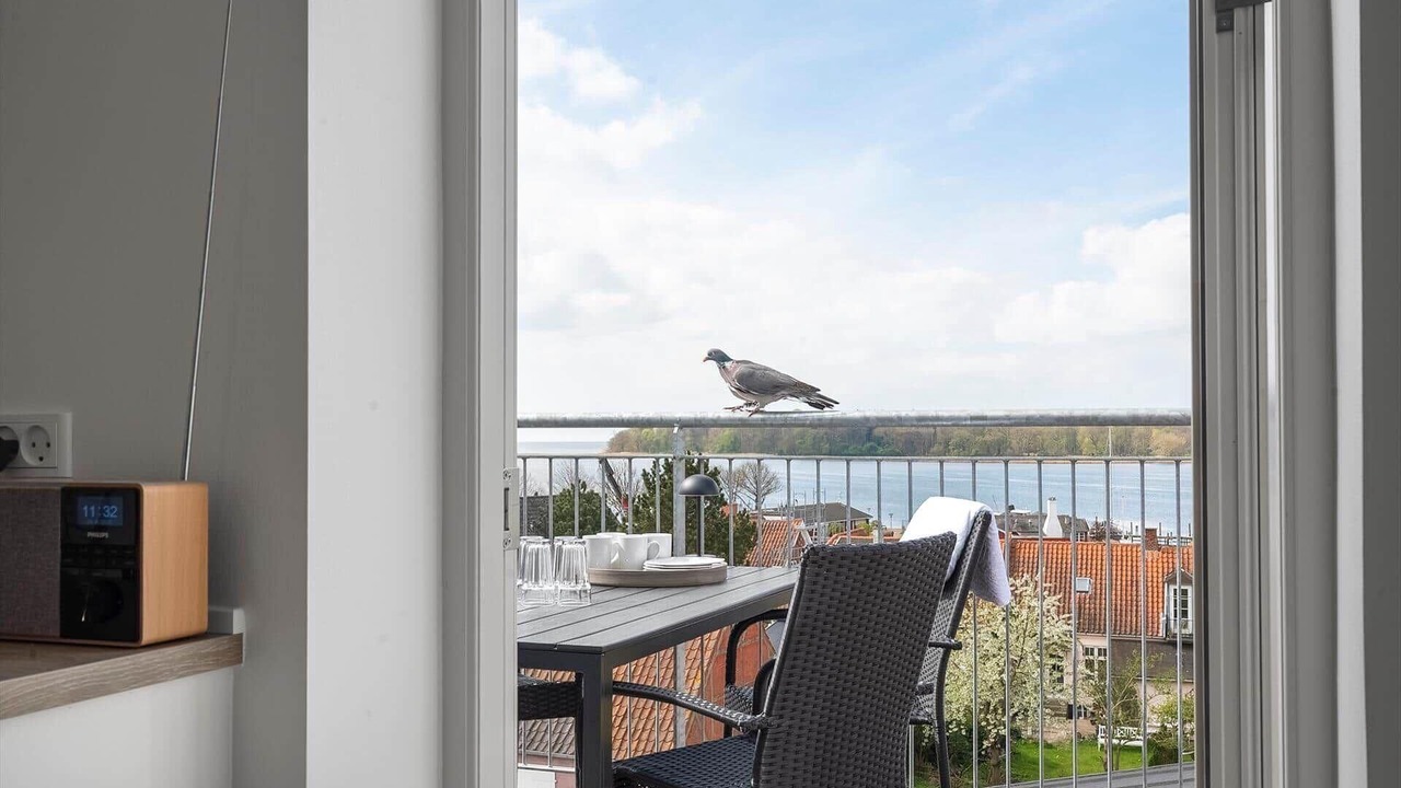 Photo of Others in Nysted