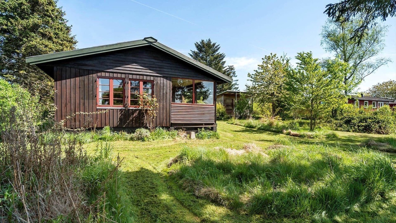 Photo of Outdoor in Bog By