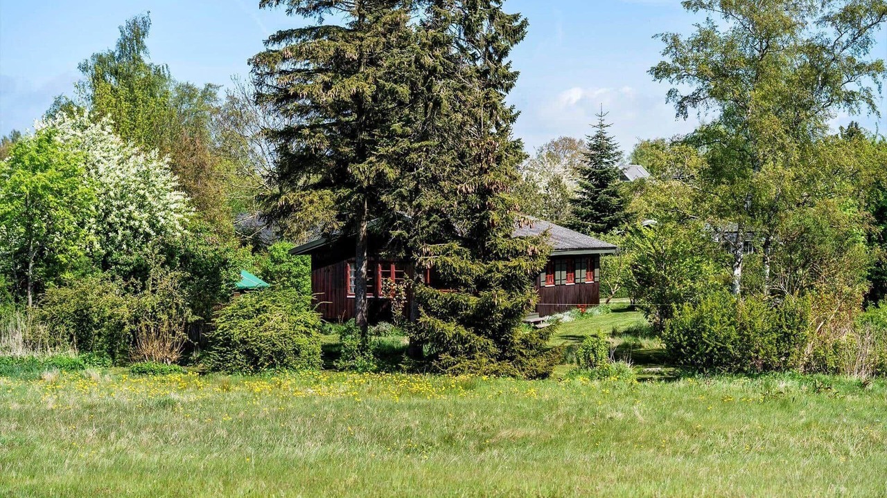 Photo of Outdoor in Bog By