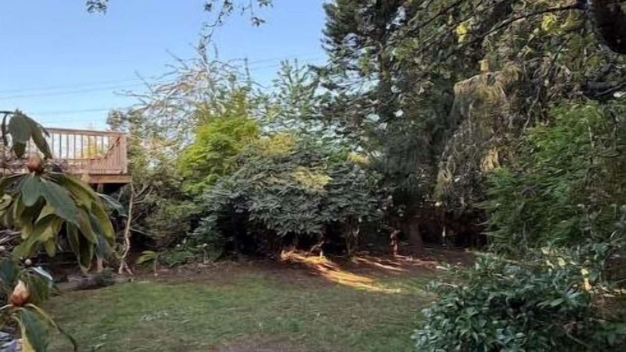 Photo of Outdoor in Seattle Metro Area