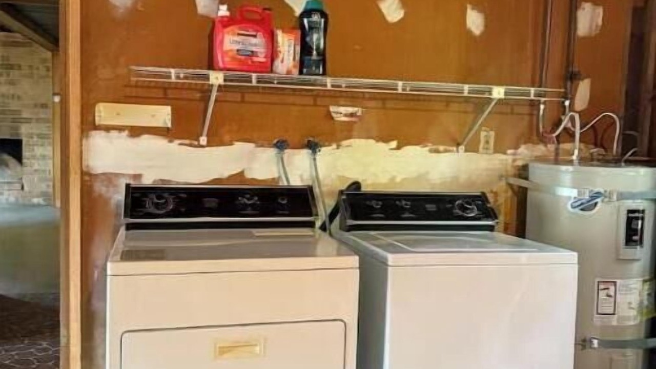 Photo of Others in Seattle Metro Area