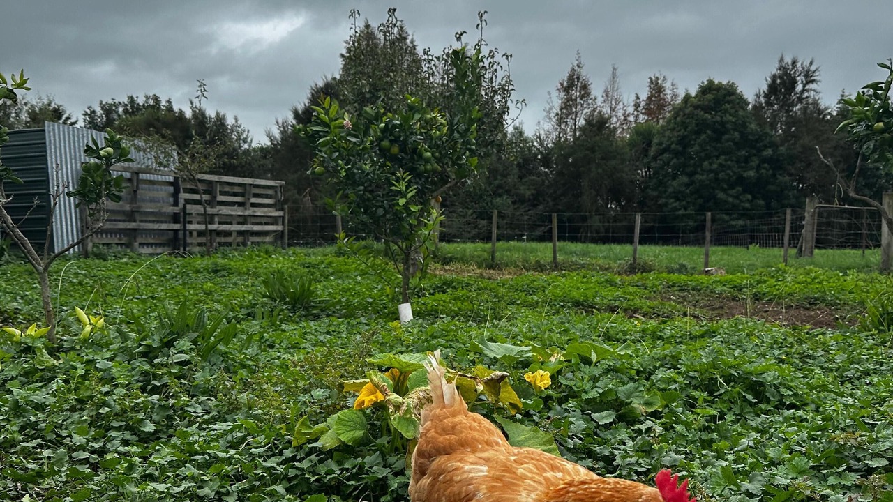 Photo of Others in Te Poi