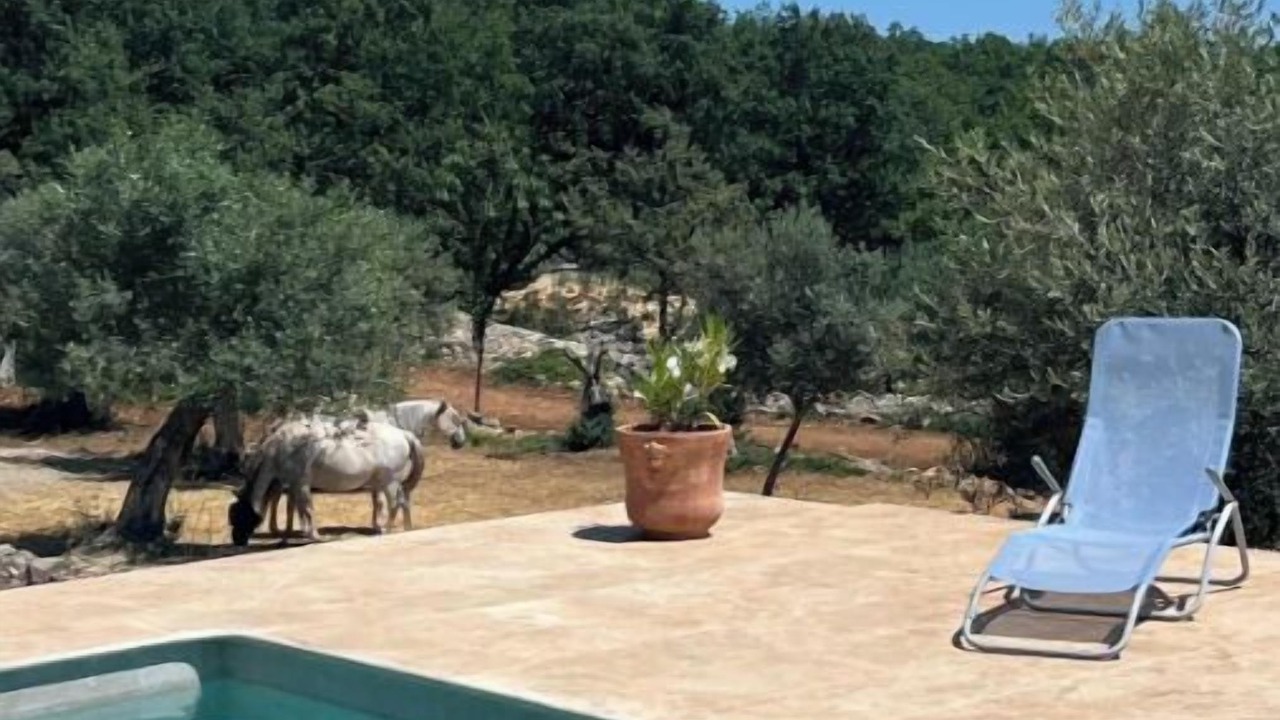 Photo of Outdoor in Mons