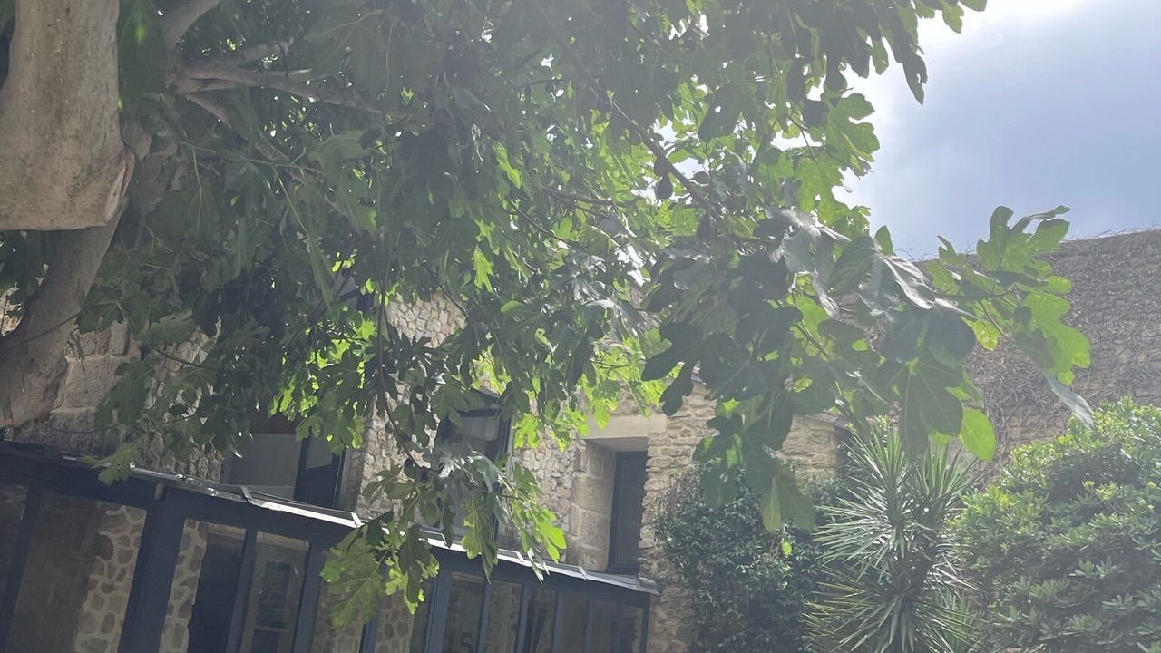 Photo of Patio Balcony in Gallargues-le-Montueux