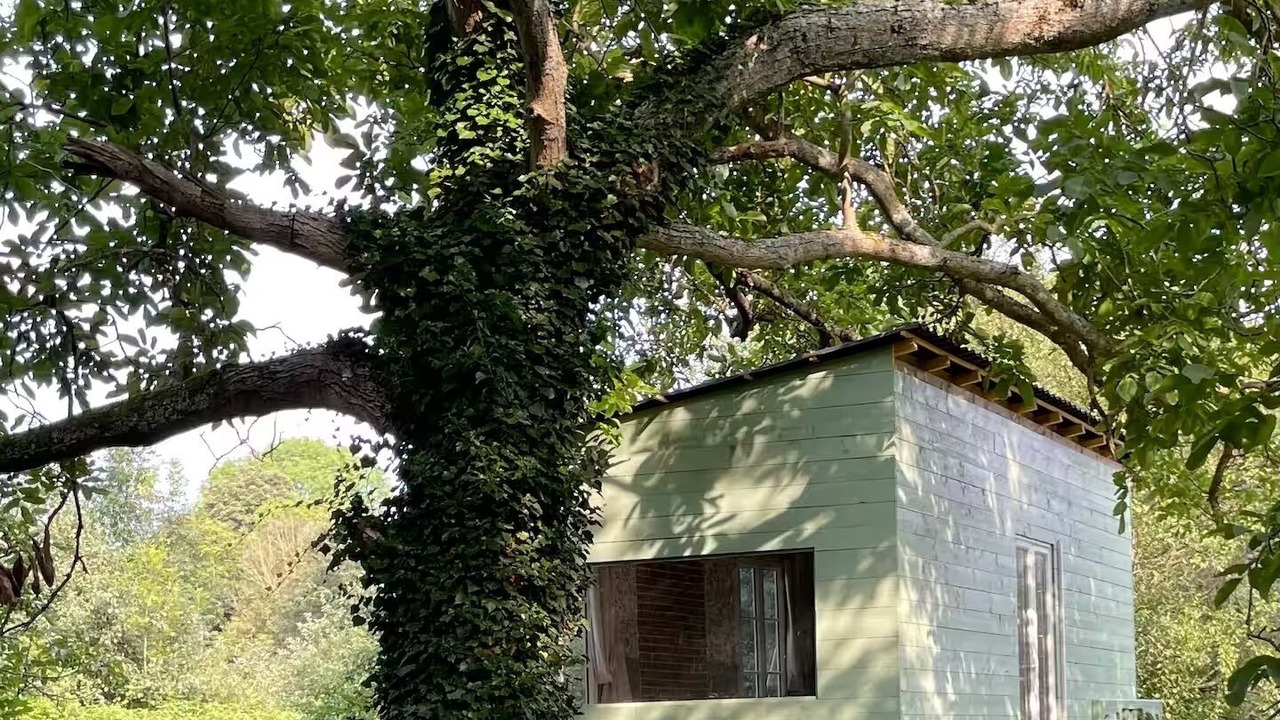 Photo of Outdoor in La Ferte-Gaucher
