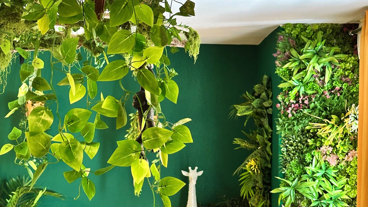 Photo of Others in Lunel