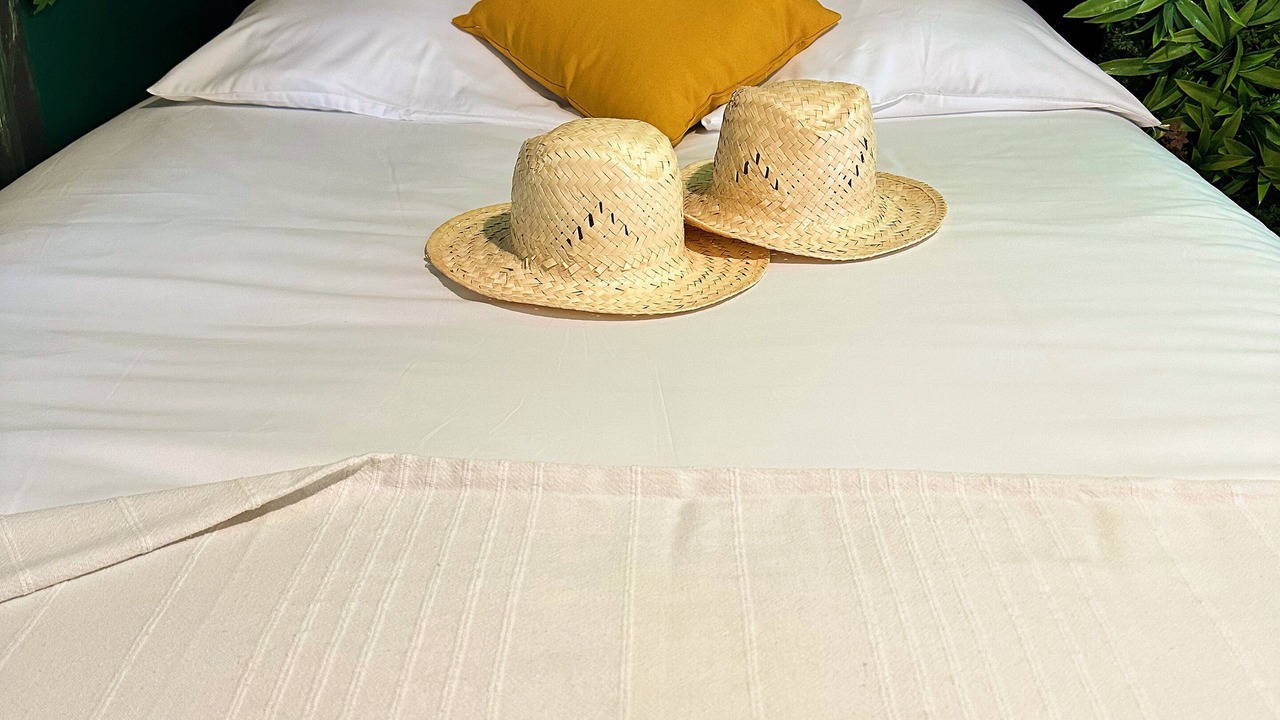 Photo of Bedroom in Lunel