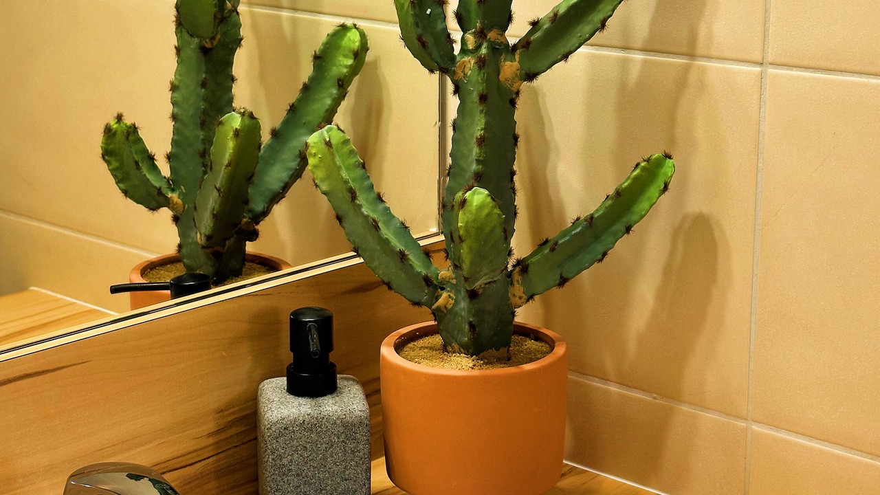 Photo of Bathroom in Lunel