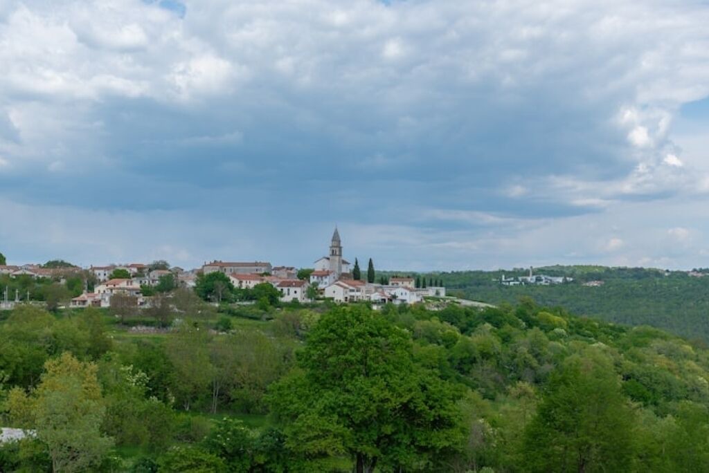 Photo of Others in Kringa