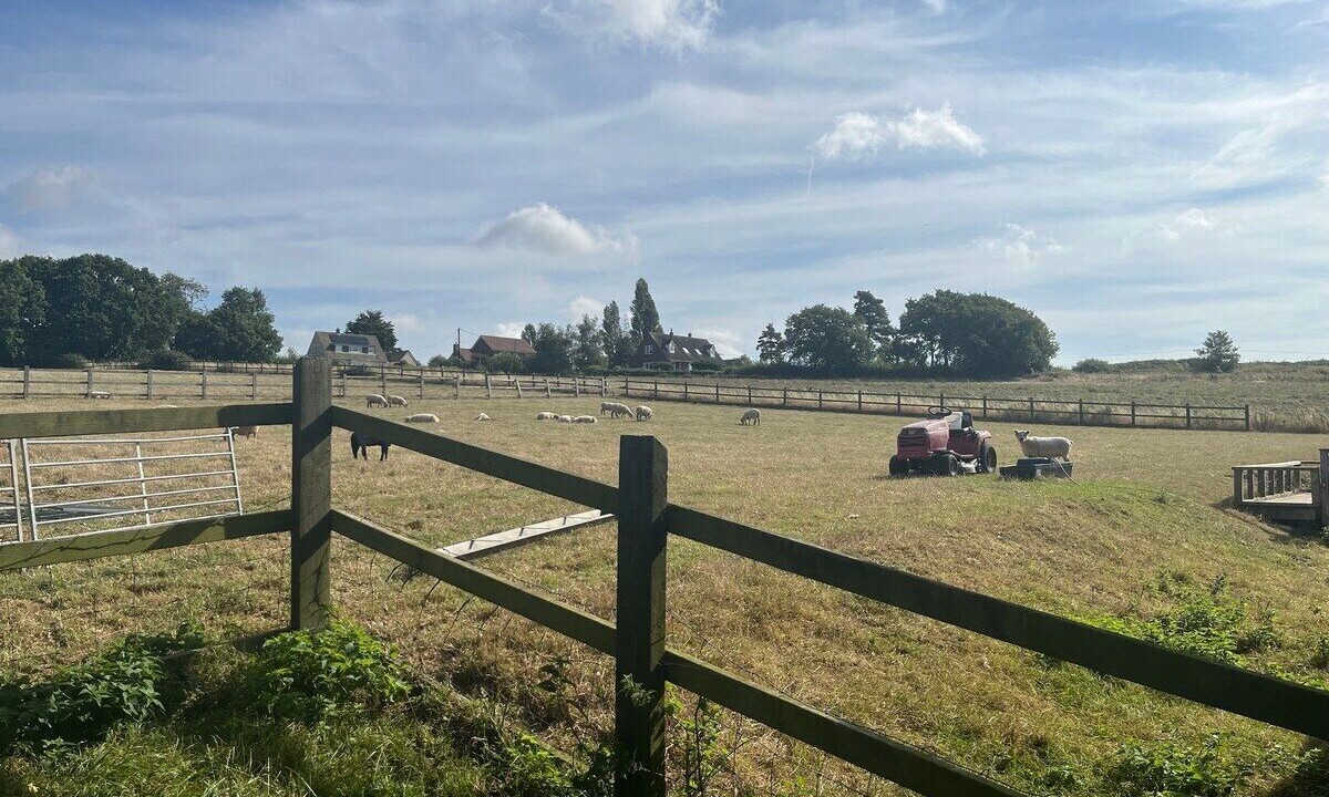 Photo of Others in Manningtree