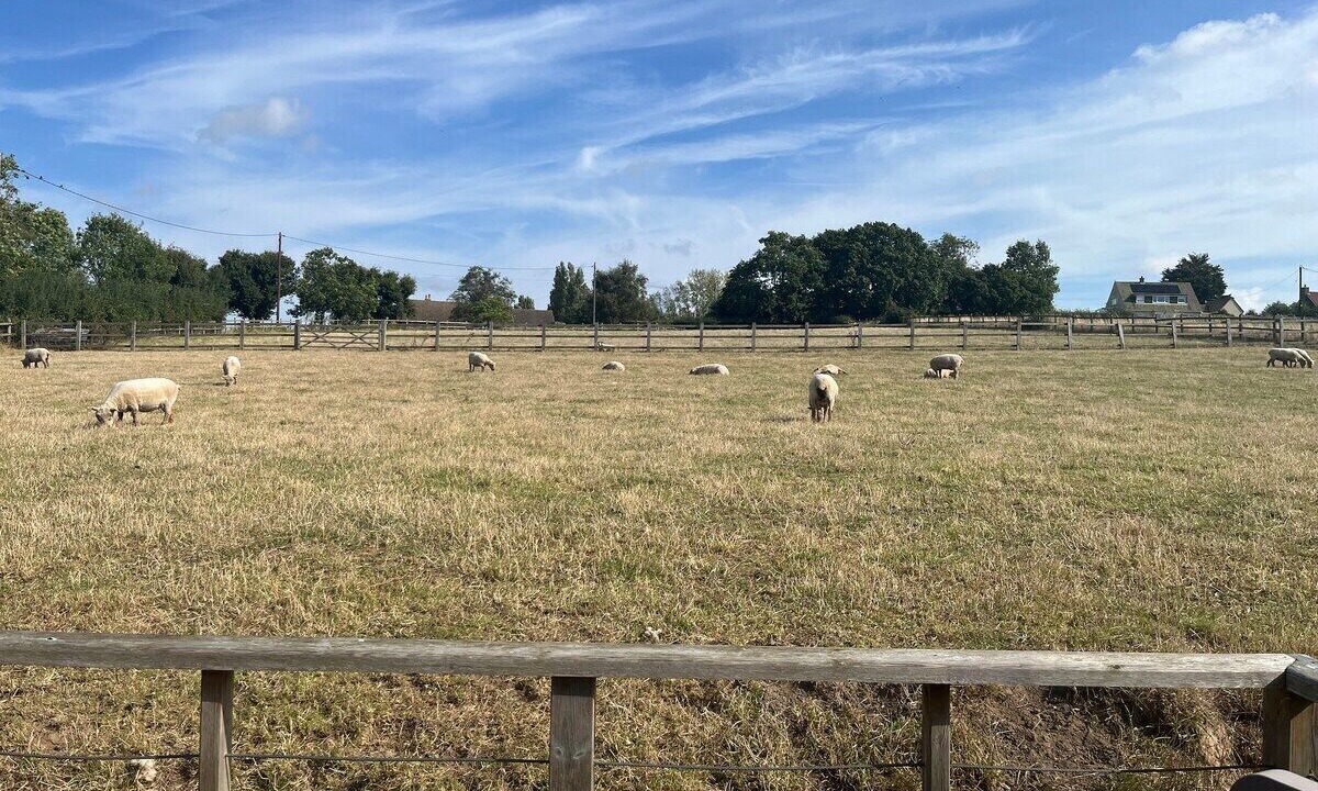 Photo of Others in Manningtree