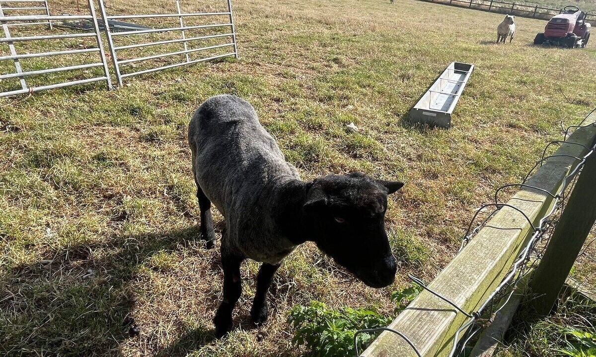 Photo of Others in Manningtree