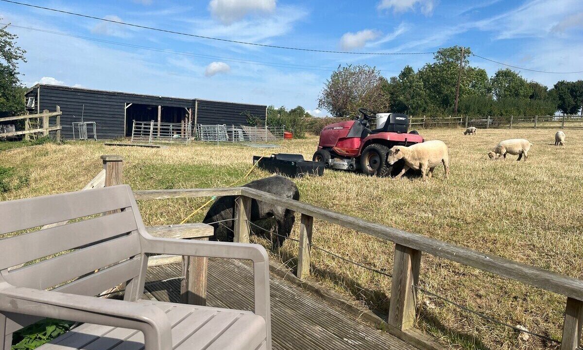 Photo of Others in Manningtree