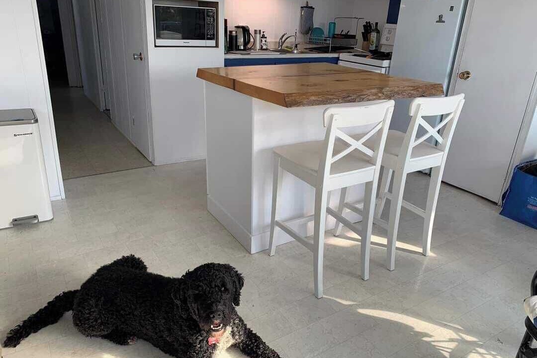 Photo of Others in Riviere Du Loup