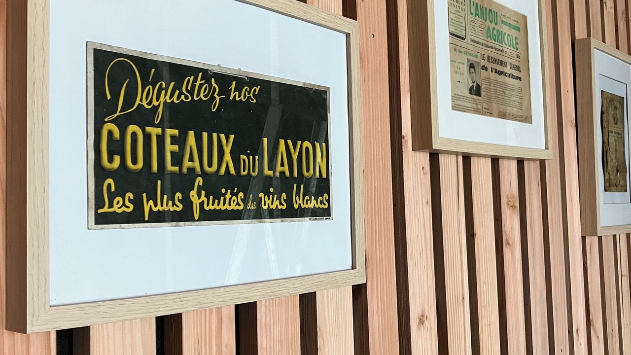 Photo of Others in Bellevigne-en-Layon