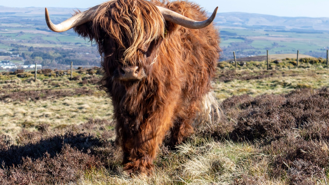 Photo of Others in Blackburn