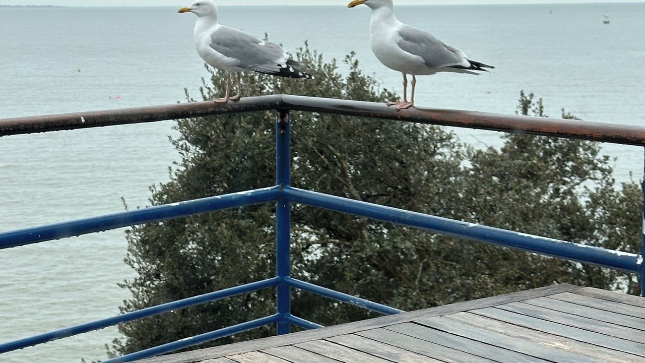 Photo of Patio Balcony in Saint-Marc-sur-Mer