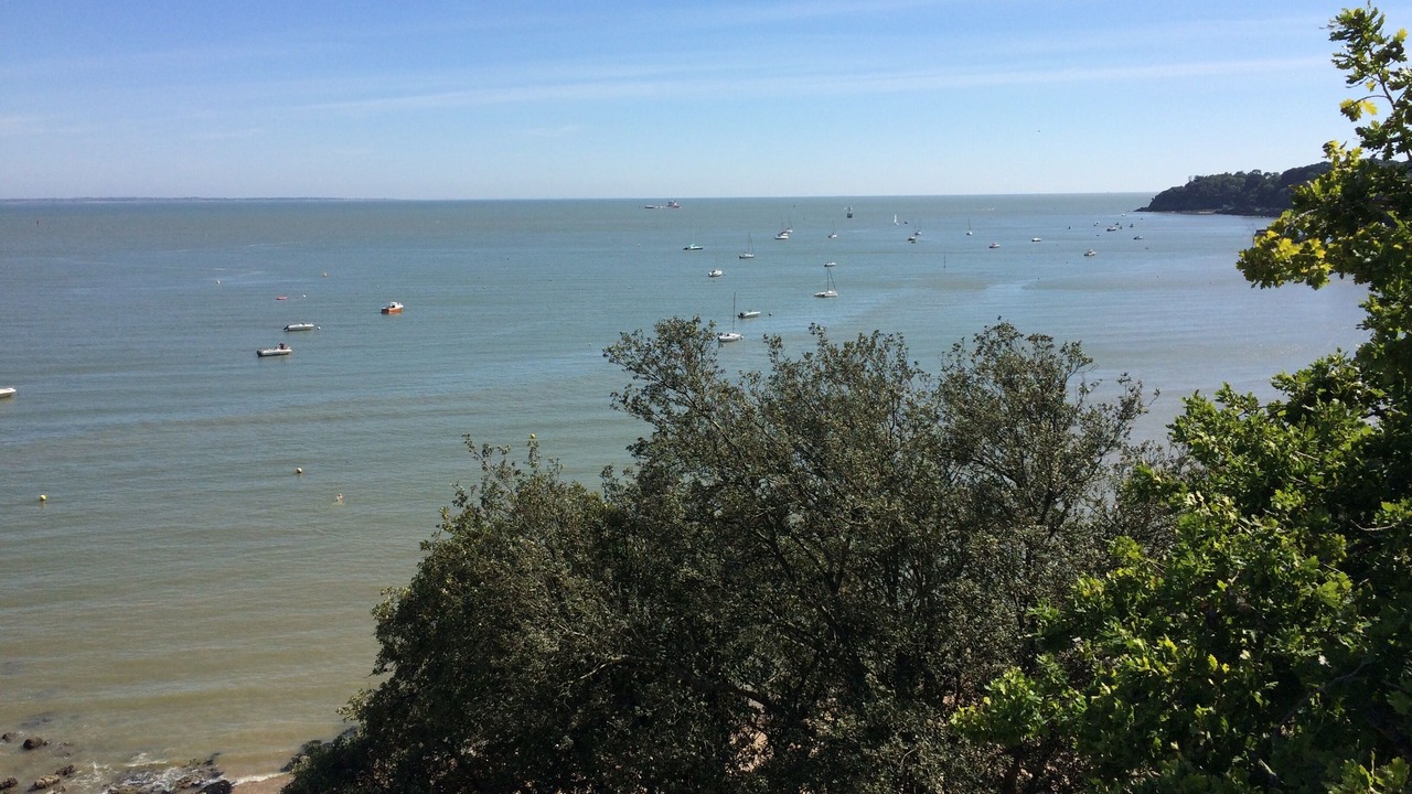 Photo of Others in Saint-Marc-sur-Mer