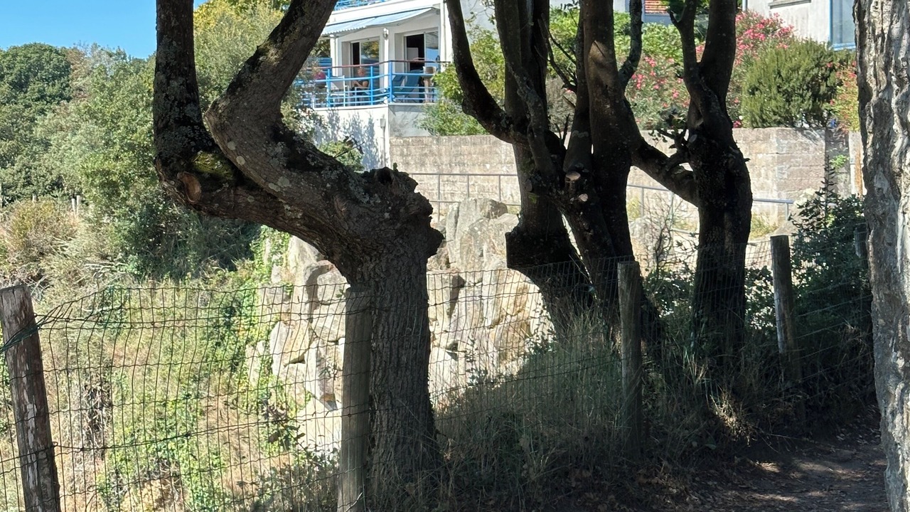 Photo of Outdoor in Saint-Marc-sur-Mer
