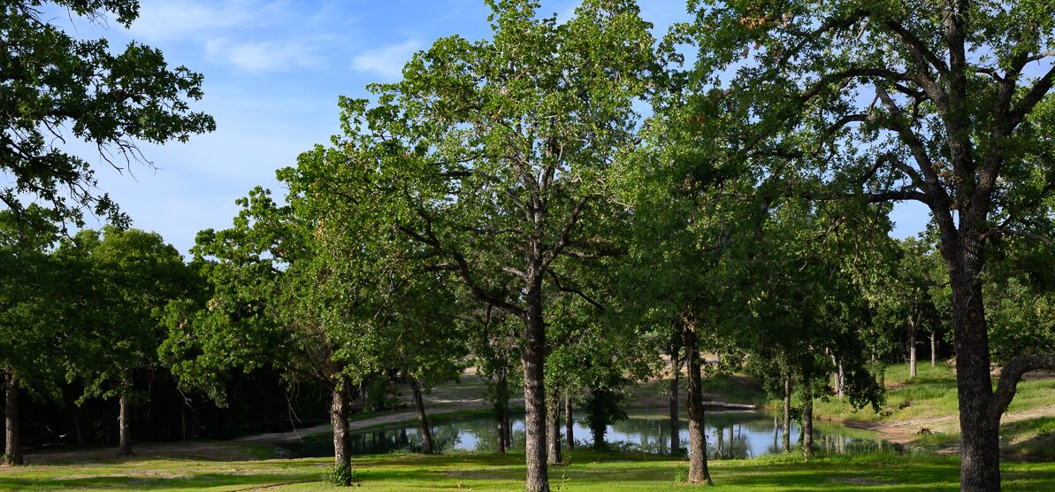 Photo of Others in Alvord
