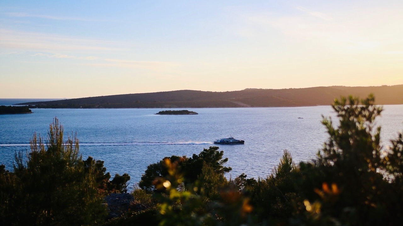 Photo of Others in Cove Makarac (Milna)