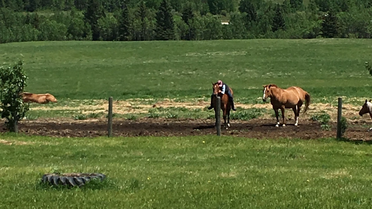 Photo of Others in Cochrane