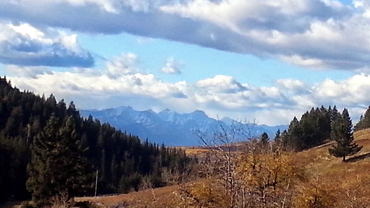 Photo of Others in Cochrane