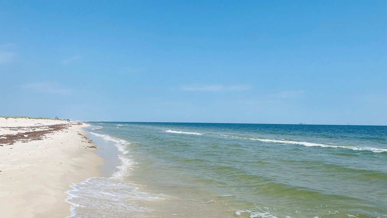 Photo of Others in Dauphin Island
