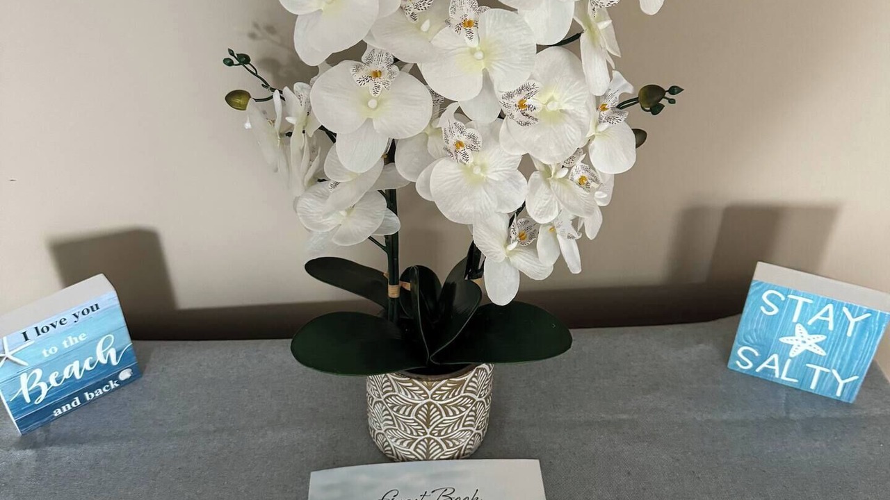 Photo of Others in Onset