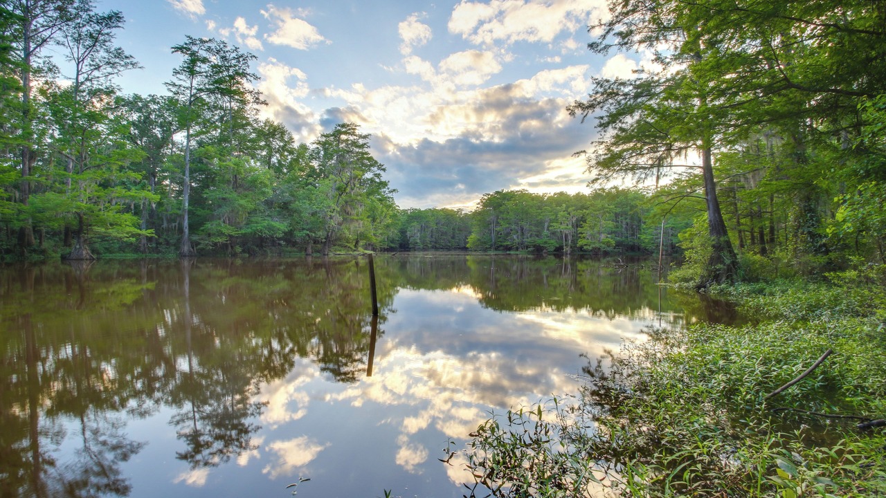 Photo of Others in Santa Rosa County