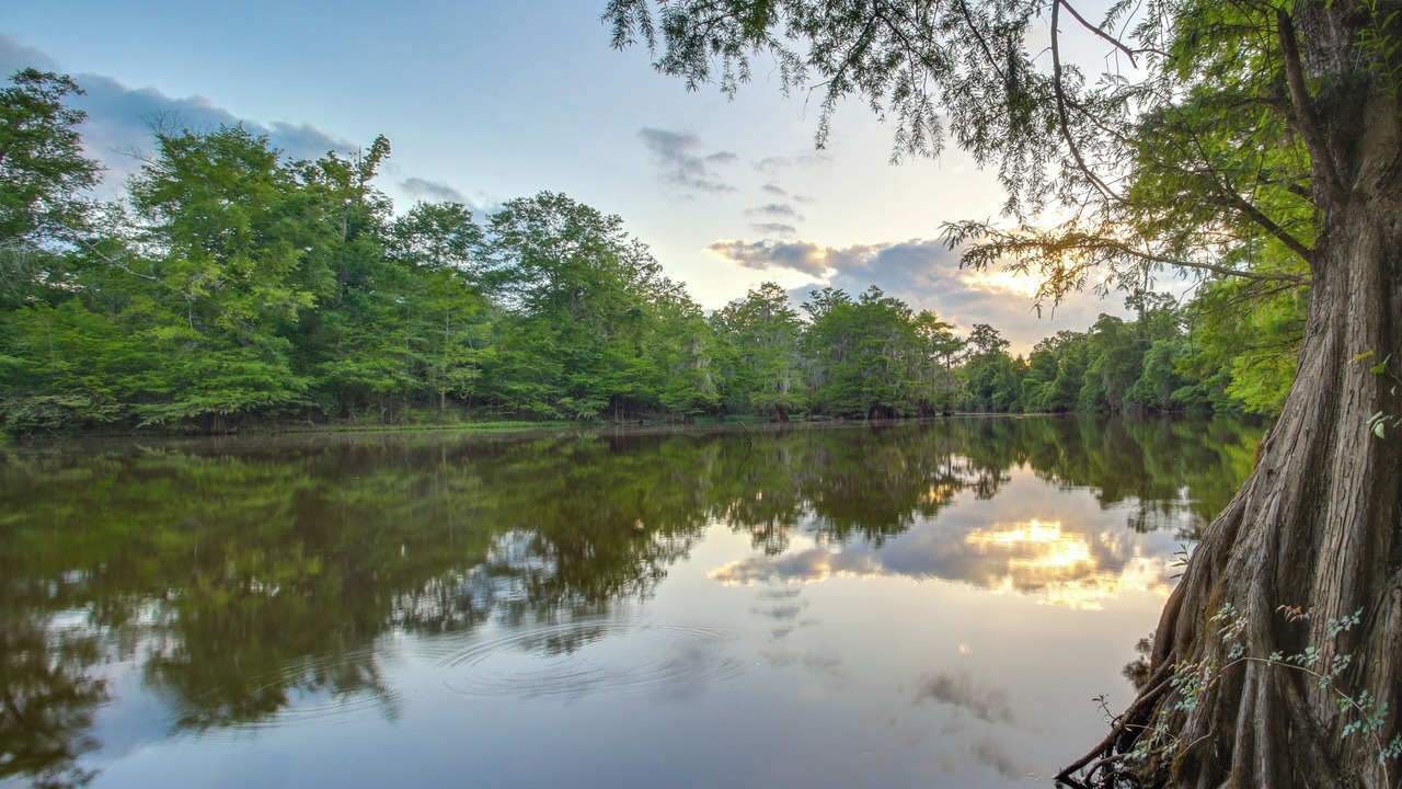 Photo of Others in Santa Rosa County