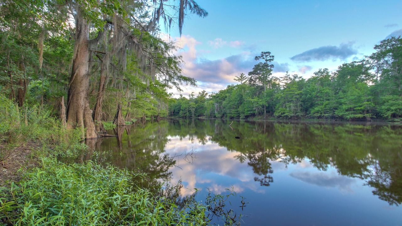 Photo of Outdoor in Santa Rosa County