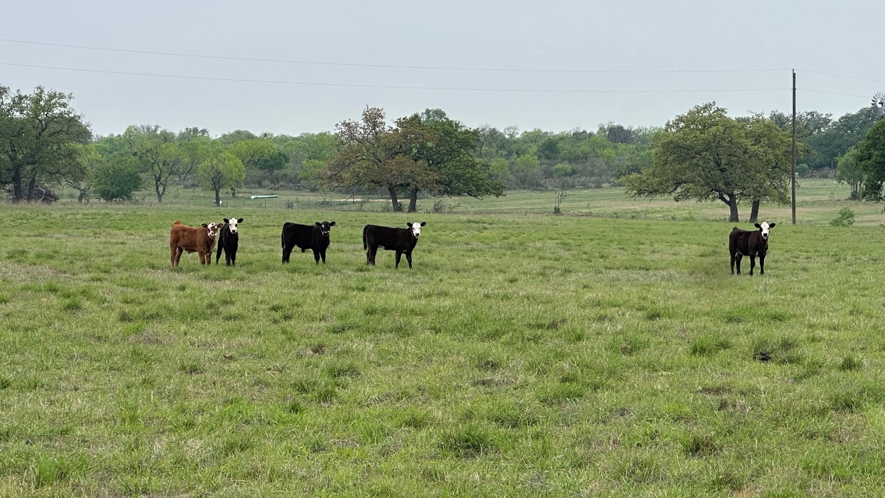 Photo of Others in Tow