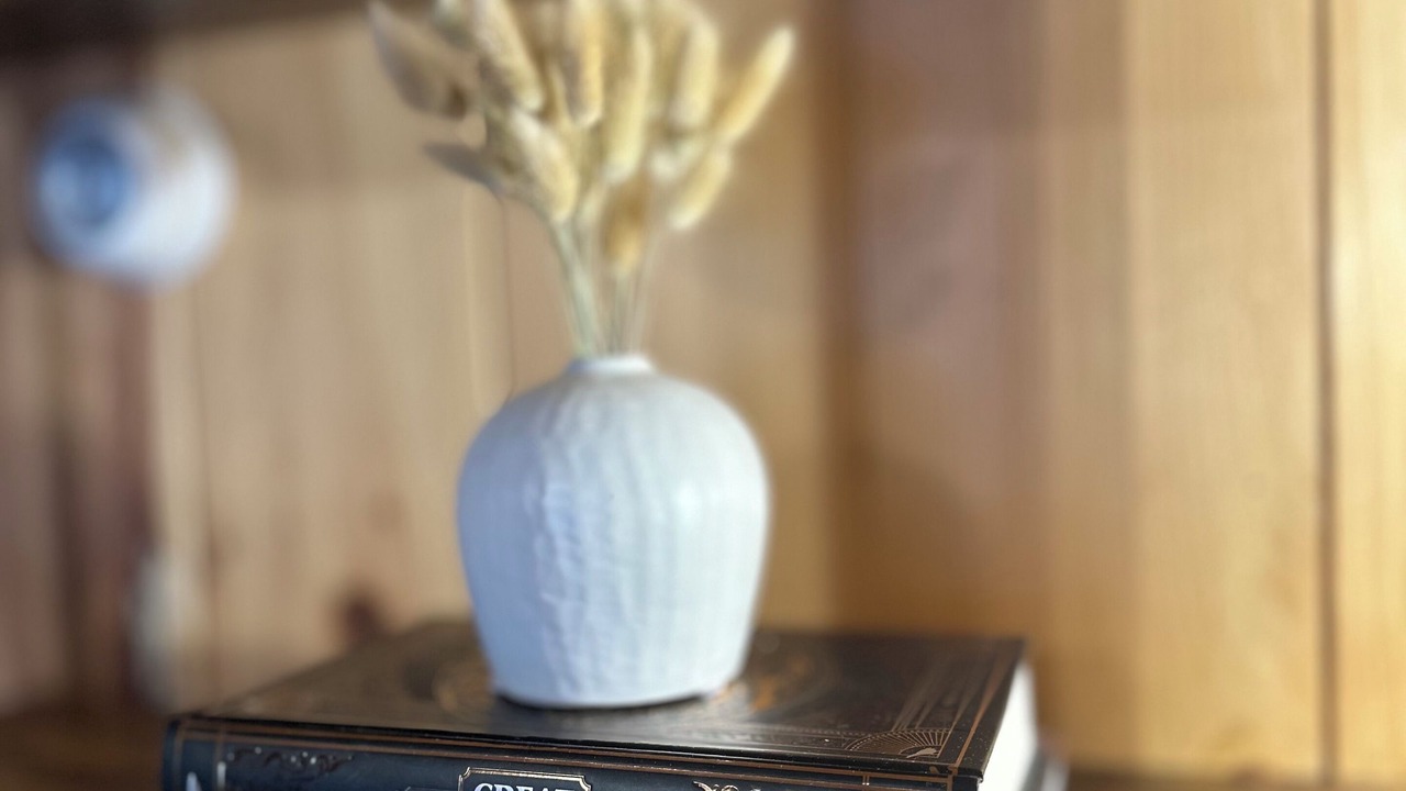 Photo of Others in Auburn