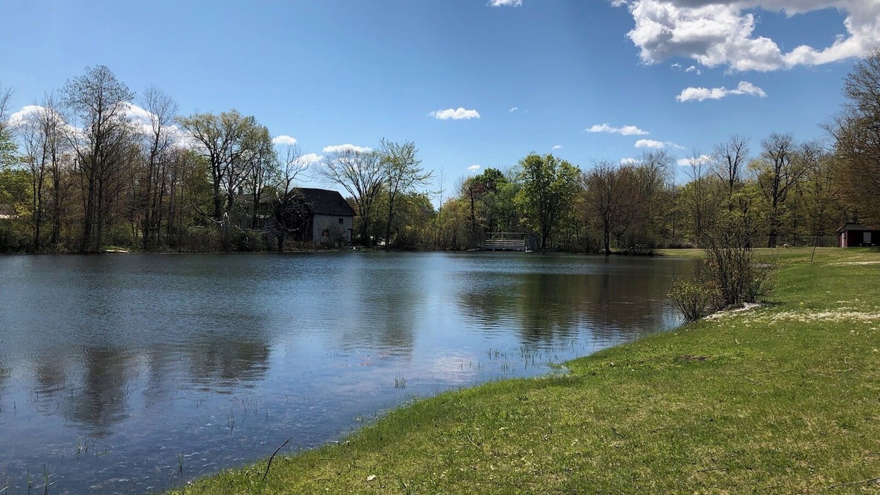 Photo of Others in Auburn