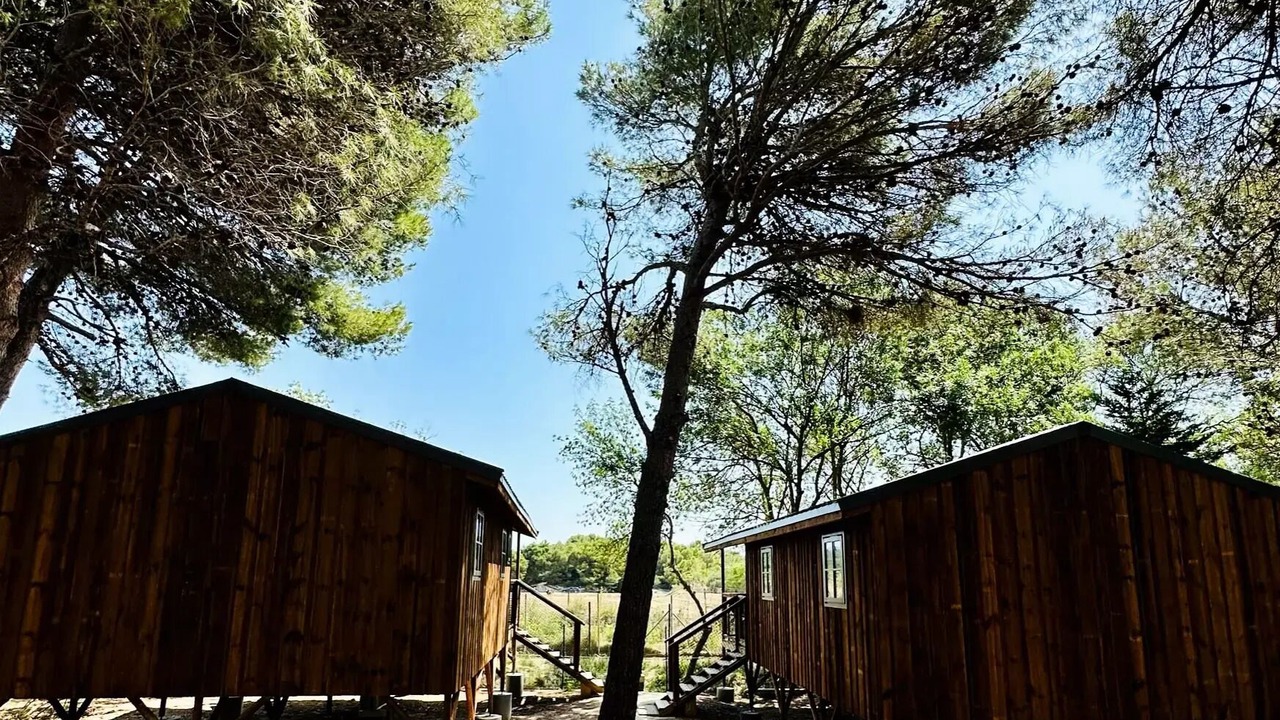 Photo of Outdoor in Sigean